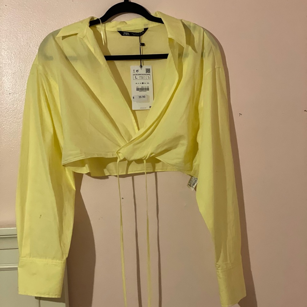 Large Zara cropped top